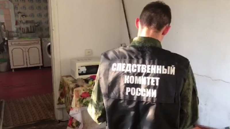 Питбули до смерти искусали 4-летнюю девочку в Сочи