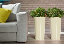 Большие горшки для цветов: как выбрать