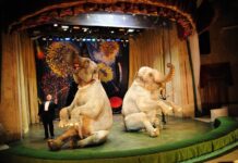 Куда сходить на выходные