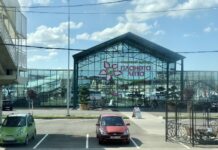 Планета лета: ваш универсальный онлайн гипермаркет для создания зеленого комфорта в вашем доме и саду