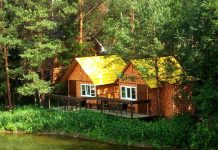 Дом в аренду в лесу: Ваш идеальный уголок для отдыха на природе