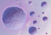 Микоплазма вызывает бесплодие — доказано учеными