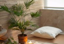 Сравнение русской бани, финской сауны и турецкого хаммама: в чем разница и какую выбрать?