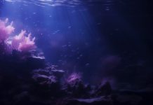 Фридайвинг для детей: безопасный путь к любви к воде и уверенности в себе