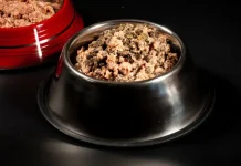 Как правильно кормить собак и кошек кормами на влажной основе