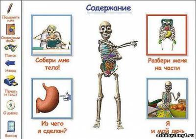 Моё тело. Как оно устроено?