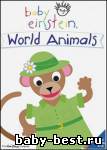 Baby Einstein — Baby Dolittle — World Animals