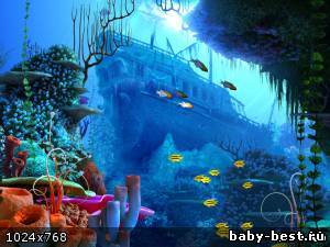 Коралловый риф