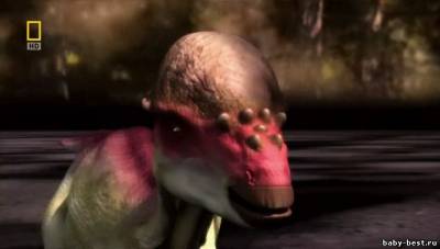 National Geographic: Чудо-юдо динозавры / National Geographic: Wierdest Dinosaurs (Bizarre Dinos) / 2008 / SATRip (HDRip)