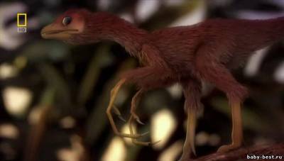 National Geographic: Чудо-юдо динозавры / National Geographic: Wierdest Dinosaurs (Bizarre Dinos) / 2008 / SATRip (HDRip)