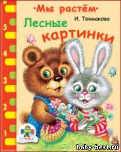 Лесные картинки