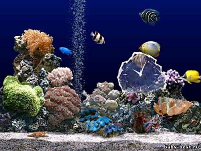 SereneScreen Marine Aquarium 2.6 +keygen
