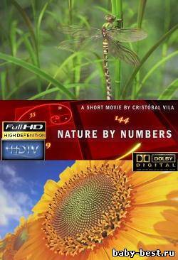 Природа в числах / Nature by numbers (2010) HD 720p