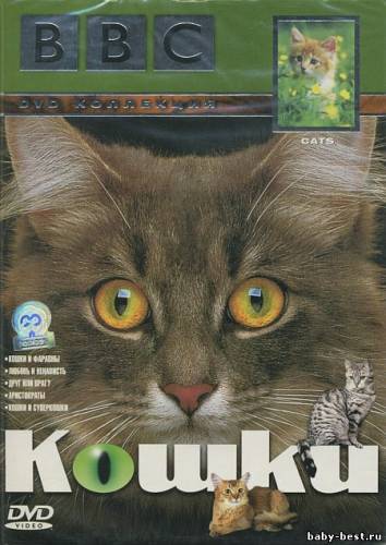 BBC: Кошки / ВВС: Cats (2002) DVDRip