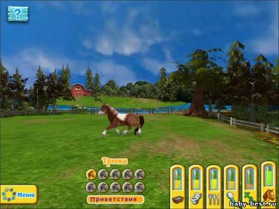 Четвероногие друзья. Мой пони