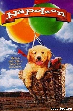 Наполеон / Napoleon [1995] DVDRip