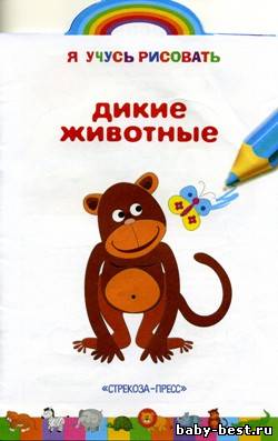Дикие животные. Книжка-раскраска