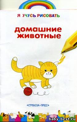 Домашние животные. Книжка-раскраска