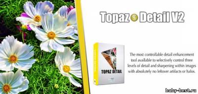 Topaz Detail 2.0.1
