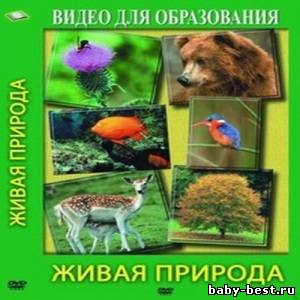 Живая природа. Видеопособие по программе "Окружающий мир" 1, 2, 3 классы.