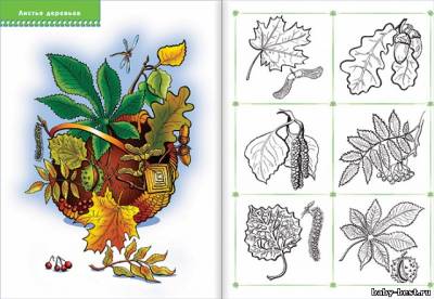 Что лежит в лукошке (для занятий с детьми от 3 до 4 лет. Школа семи гномов. Денисова Д.)