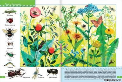 Я изучаю природу (Развитие и обучение детей от 3 до 4 лет. Школа семи гномов. Денисова Д.)