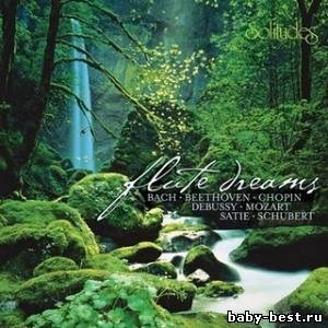 Dan Gibson - Flute Dreams. ( Классика под звуки природы)