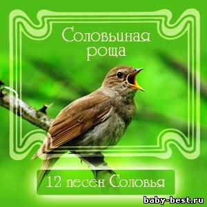 Соловьиная роща.12 песен соловья