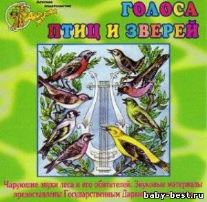 Голоса птиц и зверей