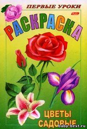 Раскраска. Садовые цветы