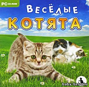 Веселые котята