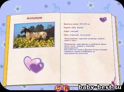 Лошади - наши друзья