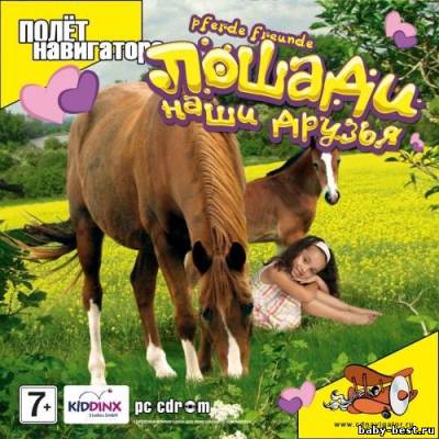 Лошади - наши друзья