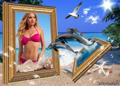 Рамка для фото - Три дельфина