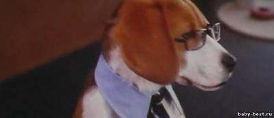 Кошки против собак: Месть Китти Галор / Cats & Dogs: The Revenge of Kitty Galore (2010/CAMRip/1400Mb)