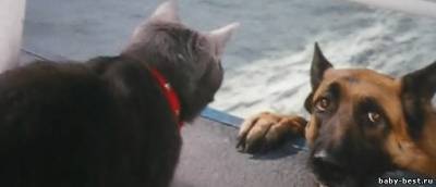 Кошки против собак: Месть Китти Галор / Cats & Dogs: The Revenge of Kitty Galore (2010/CAMRip/1400Mb)