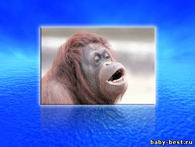 Экшен для фотошопа - Bigblue