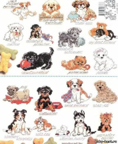 An Encyclopedia of Puppies / Энциклопедия по вышивке собак