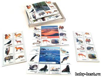 Лото «Кто где живет?»