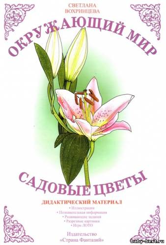 Садовые цветы. Дидактический материал. Окружающий мир.