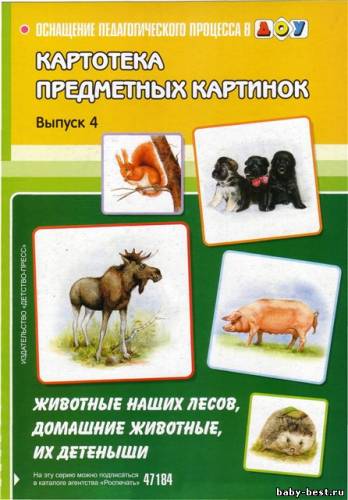 Картотека предметных картинок. Наглядный дидактический материал. Выпуск 4 - Животные наших лесов, домашние животные и их детеныши