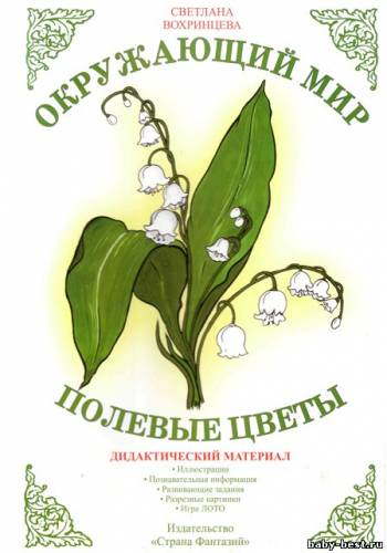 Полевые цветы. Дидактический материал. Окружающий мир.