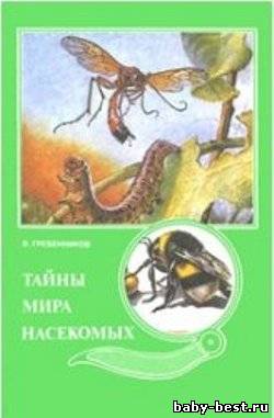 Тайны мира насекомых