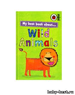 Ladybird mini - Wild Animals