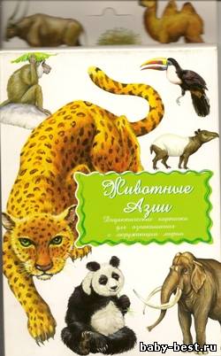Животные Азии. Дидактические карточки