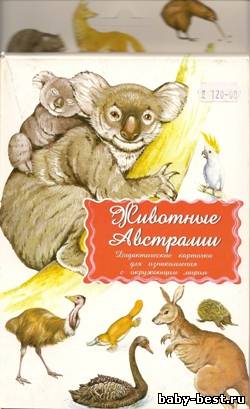 Животные Австралии. Дидактические карточки