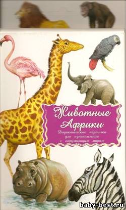 Животные Африки. Дидактические карточки