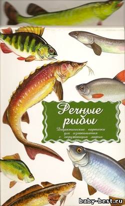 Речные рыбы. Дидактические карточки