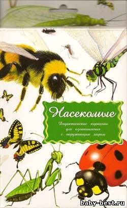 Насекомые. Дидактические карточки