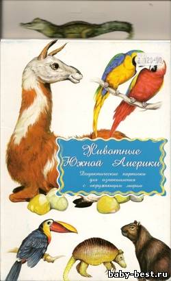 Животные Южной Америки. Дидактические карточки